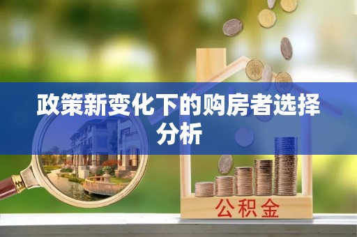 五河政策新变化下的购房者选择分析