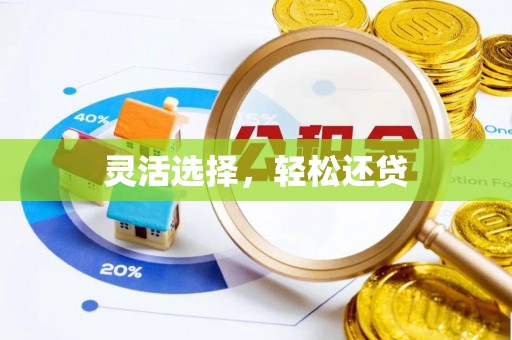 五河灵活选择，轻松还贷