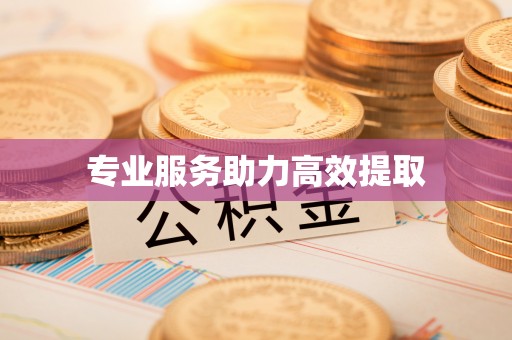 五河专业服务助力高效提取