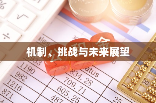 五河机制、挑战与未来展望
